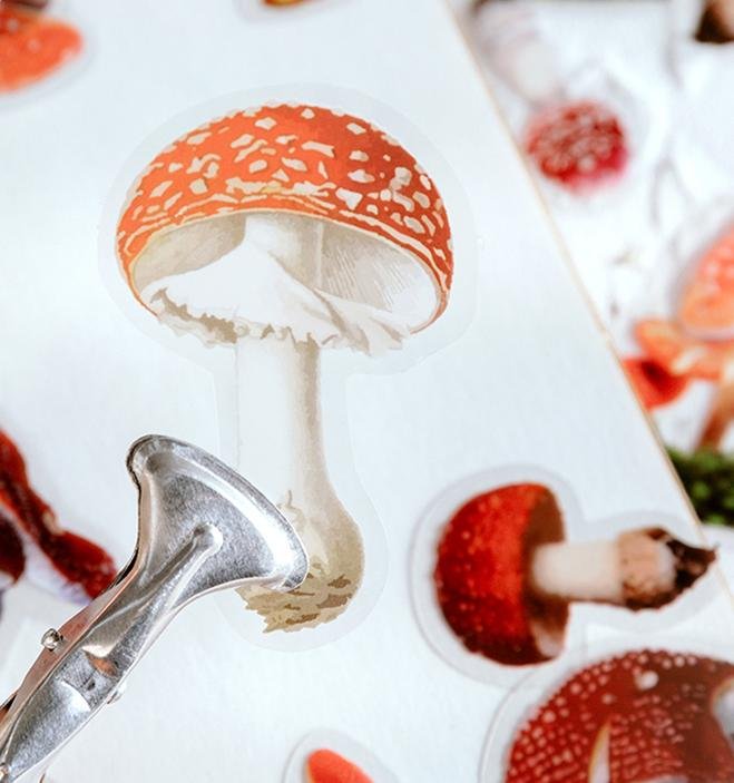 Klistermärken Svampar scrapbooking stickers i olika storlekar, 40st