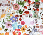 Klistermärken Svampar scrapbooking stickers i olika storlekar, 40st