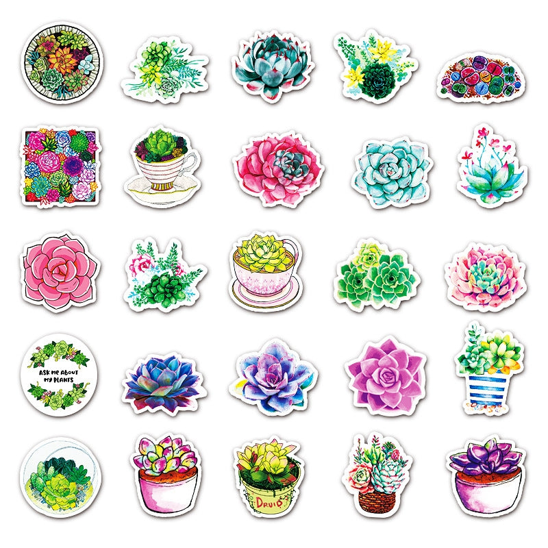 Klistermärken Suckulenter Stickers Vattentäta Solbeständiga, 50st olika motiv