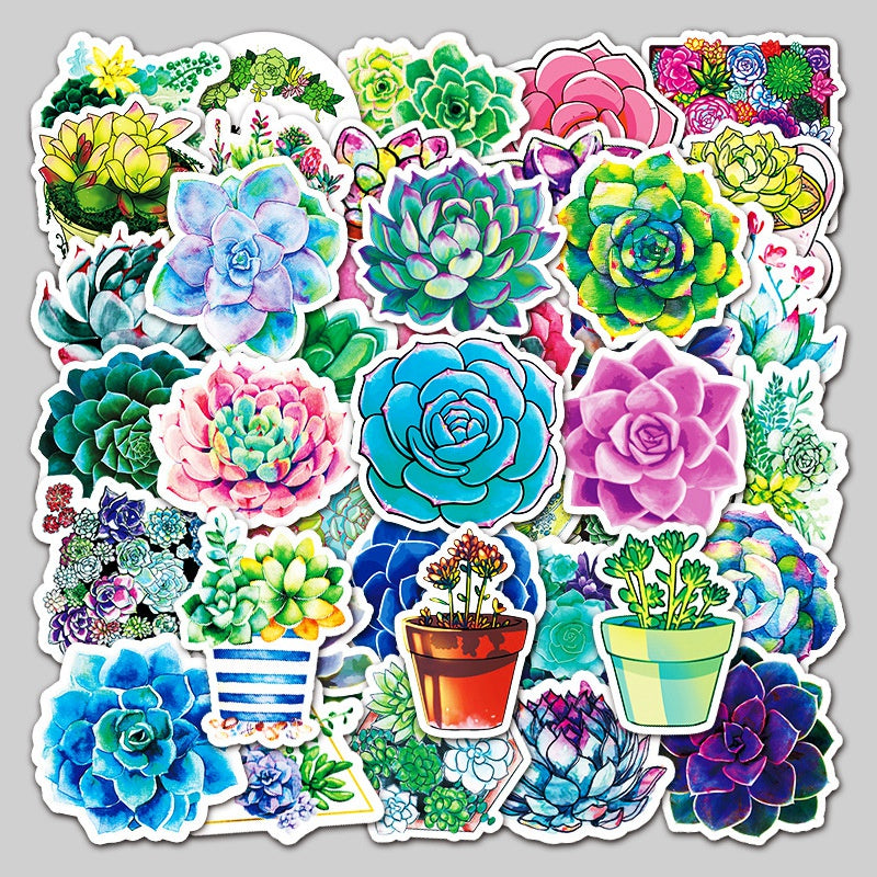 Klistermärken Suckulenter Stickers Vattentäta Solbeständiga, 50st olika motiv